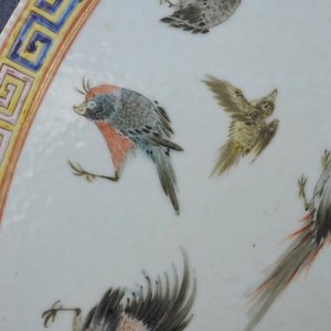 A round Chinese famille rose 'birds' plaque, 19th C. — 照片 7