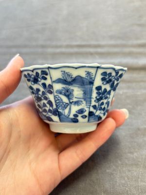 A set of 11 Chinese blue and white cups and saucers with riverscape design, Kangxi — photo 31