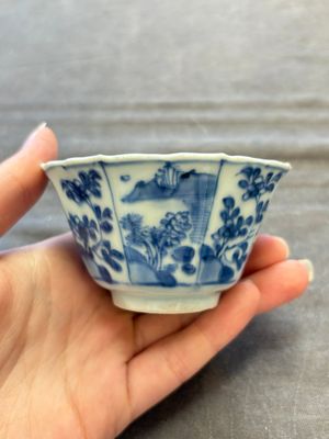 A set of 11 Chinese blue and white cups and saucers with riverscape design, Kangxi — photo 43