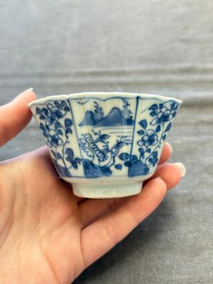 A set of 11 Chinese blue and white cups and saucers with riverscape design, Kangxi — photo 48
