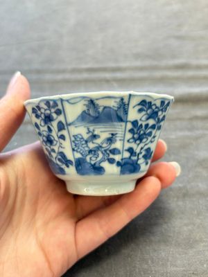A set of 11 Chinese blue and white cups and saucers with riverscape design, Kangxi — photo 49