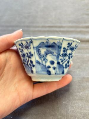 A set of 11 Chinese blue and white cups and saucers with riverscape design, Kangxi — photo 53