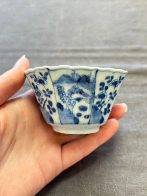 A set of 11 Chinese blue and white cups and saucers with riverscape design, Kangxi — photo 55