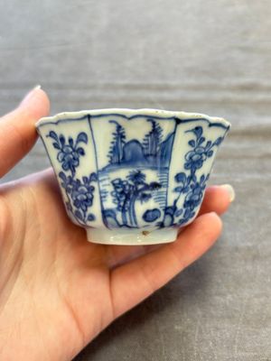 A set of 11 Chinese blue and white cups and saucers with riverscape design, Kangxi — photo 59