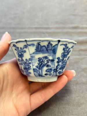 A set of 11 Chinese blue and white cups and saucers with riverscape design, Kangxi — photo 60