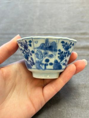 A set of 11 Chinese blue and white cups and saucers with riverscape design, Kangxi — photo 85