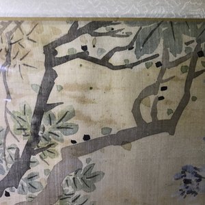 A set of four Chinese watercolours with birds among flowering branches and calligraphy, framed, 19th C. — 照片 11
