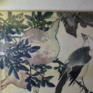 A set of four Chinese watercolours with birds among flowering branches and calligraphy, framed, 19th C. — 照片 19