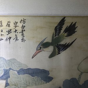 A set of four Chinese watercolours with birds among flowering branches and calligraphy, framed, 19th C. — 照片 28