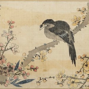 A set of four Chinese watercolours with birds among flowering branches and calligraphy, framed, 19th C. — 照片 3