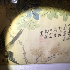 A set of four Chinese watercolours with birds among flowering branches and calligraphy, framed, 19th C. — 照片 8