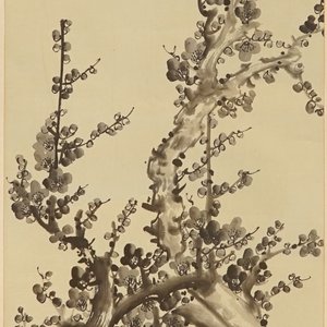 A signed Chinese floral scroll painting, 19/20th C. — photo 3