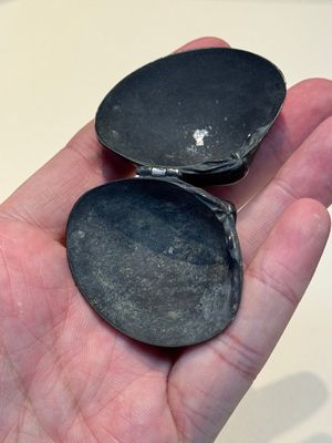 A small Chinese silver clam-shaped box with animals design, Tang/Song — photo 16