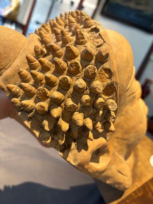 A Thai pottery Haripunjaya-style head of Buddha, possibly 13th C. — photo 7