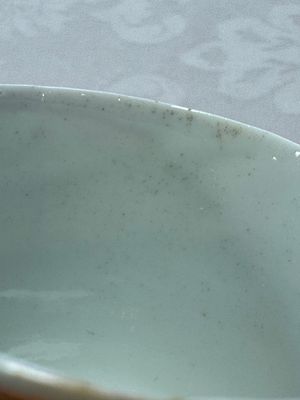 A varied collection of 13 Chinese famille rose wares, Yongzheng/Qianlong — 照片 22