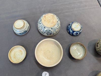 A varied collection of Chinese and Vietnamese blue and white wares, 14th C. and later — 照片 4
