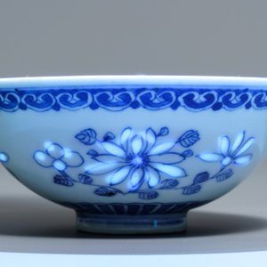 A varied collection of Chinese porcelain, Ming and later — photo 10