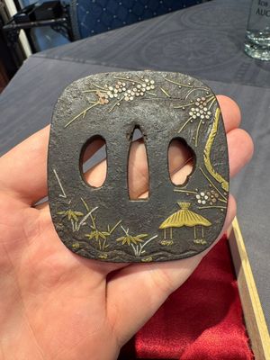 A varied collection of ten Japanese iron tsuba, Edo — 照片 12