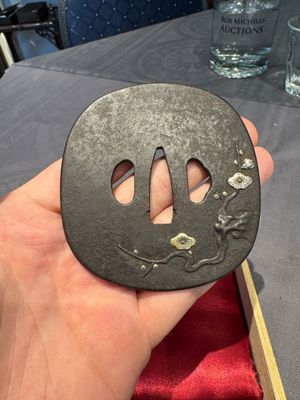 A varied collection of ten Japanese iron tsuba, Edo — 照片 14