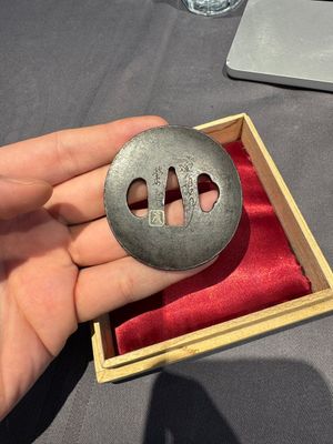 A varied collection of ten Japanese iron tsuba, Edo — 照片 2