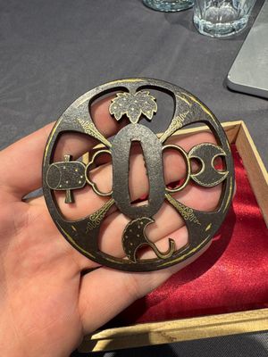 A varied collection of ten Japanese iron tsuba, Edo — 照片 4
