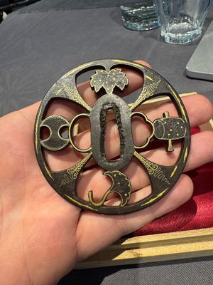 A varied collection of ten Japanese iron tsuba, Edo — 照片 5