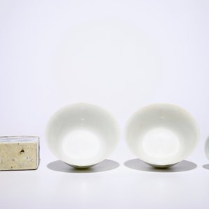A varied selection of Chinese blue and white and famille rose wares, Wanli, Kangxi and later — photo 9