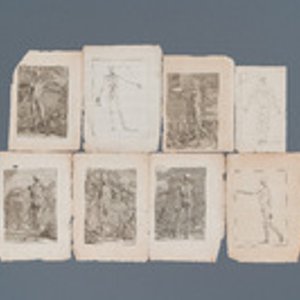 Acht anatomische gravures en vier diverse gravures, 16/18e eeuw — foto 2