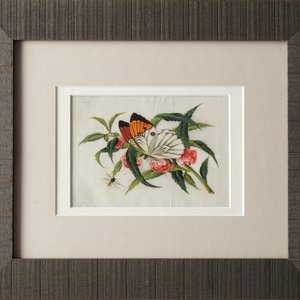 Acht Chinese Canton schilderingen op rijstpapier met vlinders en bloemen, 19e eeuw — foto 4