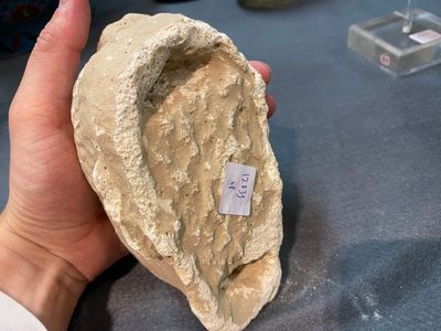 Acht diverse gesculpteerde stenen hoofden, o.a. Gandhara, Etruskisch, Japans en Chinees — foto 4