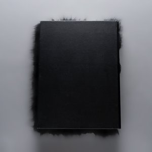 Albert Watson (1942): 'KAOS', sample copy with faux chimpanzee fur fitting, Taschen, 2017 — foto 11