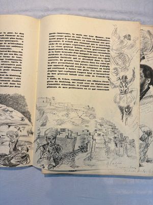 Alexandre Iacovleff (1887-1938): 'La croisière jaune', incl. 44 illustrations, lithography on paper, dated 1931-1932 — foto 11