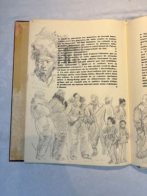 Alexandre Iacovleff (1887-1938): 'La croisière jaune', incl. 44 illustrations, lithography on paper, dated 1931-1932 — foto 18
