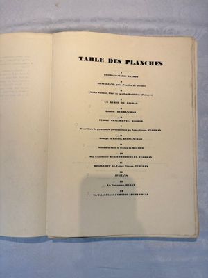 Alexandre Iacovleff (1887-1938): 'La croisière jaune', incl. 44 illustrations, lithography on paper, dated 1931-1932 — foto 22