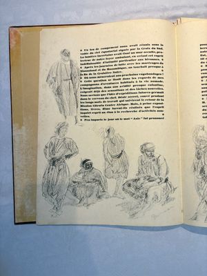 Alexandre Iacovleff (1887-1938): 'La croisière jaune', incl. 44 illustrations, lithography on paper, dated 1931-1932 — foto 2