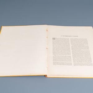 Alexandre Raymond, 1924: Vieilles Faïences turques en Asie-Mineure et a Constantinople — photo 4