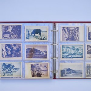 An album of Chinese postcards, 19/20th C. — 照片 29