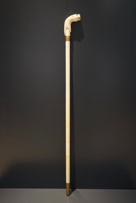 An Anglo-Indian ivory and brass walking stick or cane with a lion's head, 19th C.