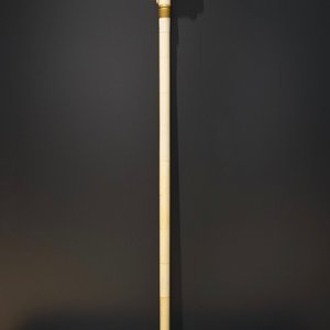 An Anglo-Indian ivory and brass walking stick or cane with a lion's head, 19th C. — photo 1