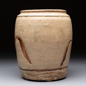 An Annamese or Vietnamese brown-glazed cream-ground 'grass sprigs' jar, 12/13th C. — 照片 5
