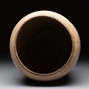 An Annamese or Vietnamese brown-glazed cream-ground 'grass sprigs' jar, 12/13th C. — 照片 6