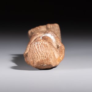 An Egyptian red-brown clay Ushabti, probably Romano-Egyptian, 1st C. AD — photo 6
