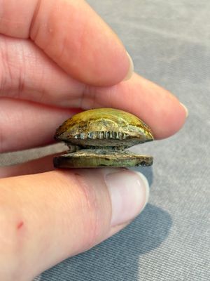 An Egyptian turquoise-glazed composition winged scarab, Ptolemaic, 4/1st C. B.C. — photo 7