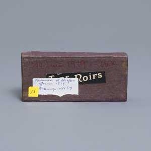 An exceptional collection of Chinese photos on glass plate stereo negatives, early 20th C. — 照片 42