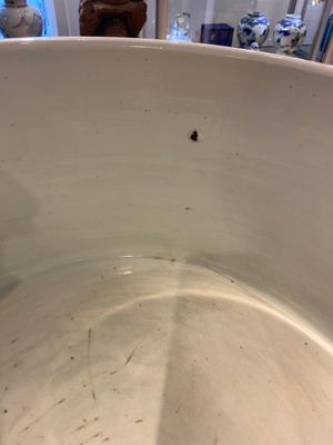 An exceptionally large Chinese blue and white basin with floral scrolls, Kangxi — photo 14