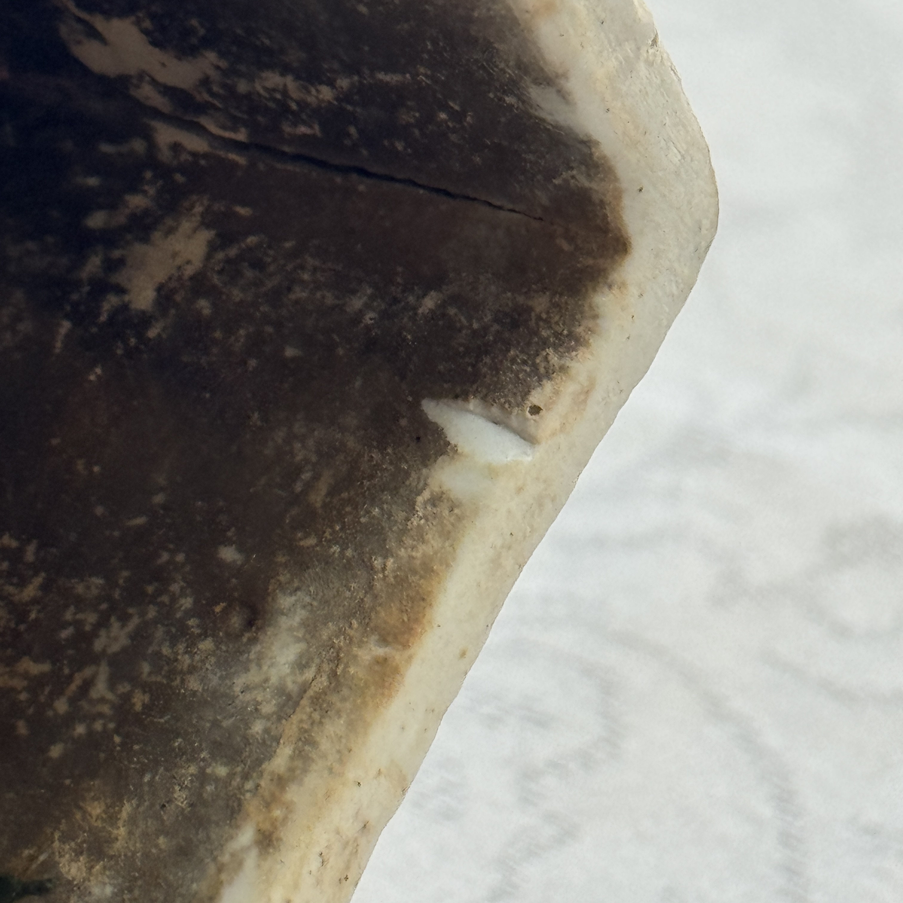 An extremely rare Chinese blue and white ko-sometsuke 'Cat' incense burner — photo 34