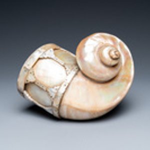 An Indo-Portuguese mother-of-pearl and nautilus shell powder horn, Gujarat, India, 17/18th C. — photo 2