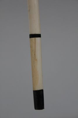 An ivory and ebony walking cane, 19th C.