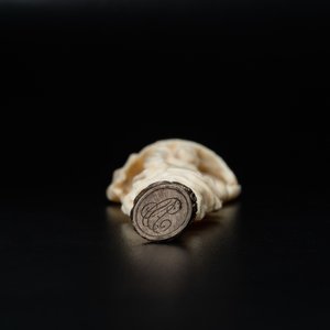 An ivory and silver seal stamp with a hussar handle, 19th C. — photo 7