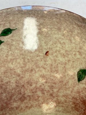 An unusual Chinese famille verte copper-red-ground shallow bowl with floral design, 19th C. — foto 7